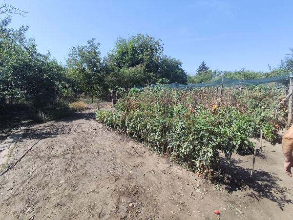 PAVEL HOMES OFFERS: SOLID BRICK HOUSE WITH GARAGE, WORKSHOP & 2,570 M² GARDEN IN PAVEL